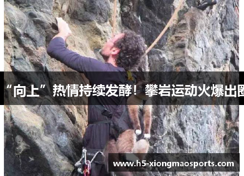 “向上”热情持续发酵！攀岩运动火爆出圈