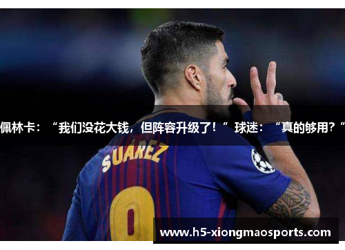 佩林卡：“我们没花大钱，但阵容升级了！”球迷：“真的够用？”